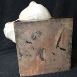 Bronze-middle-aged woman's head in plaster