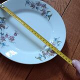 Set of 4 porcelain plates