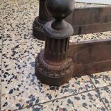 Beautiful pair of caterpillars