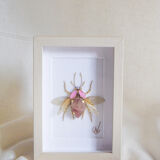 Haute couture embroidery