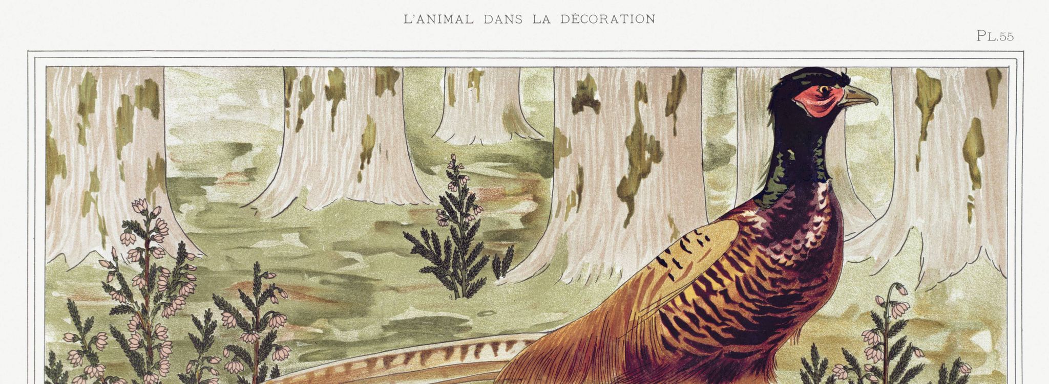 Poster “Ordinary Pheasants”, after an Art Nouveau lithograph from 1897