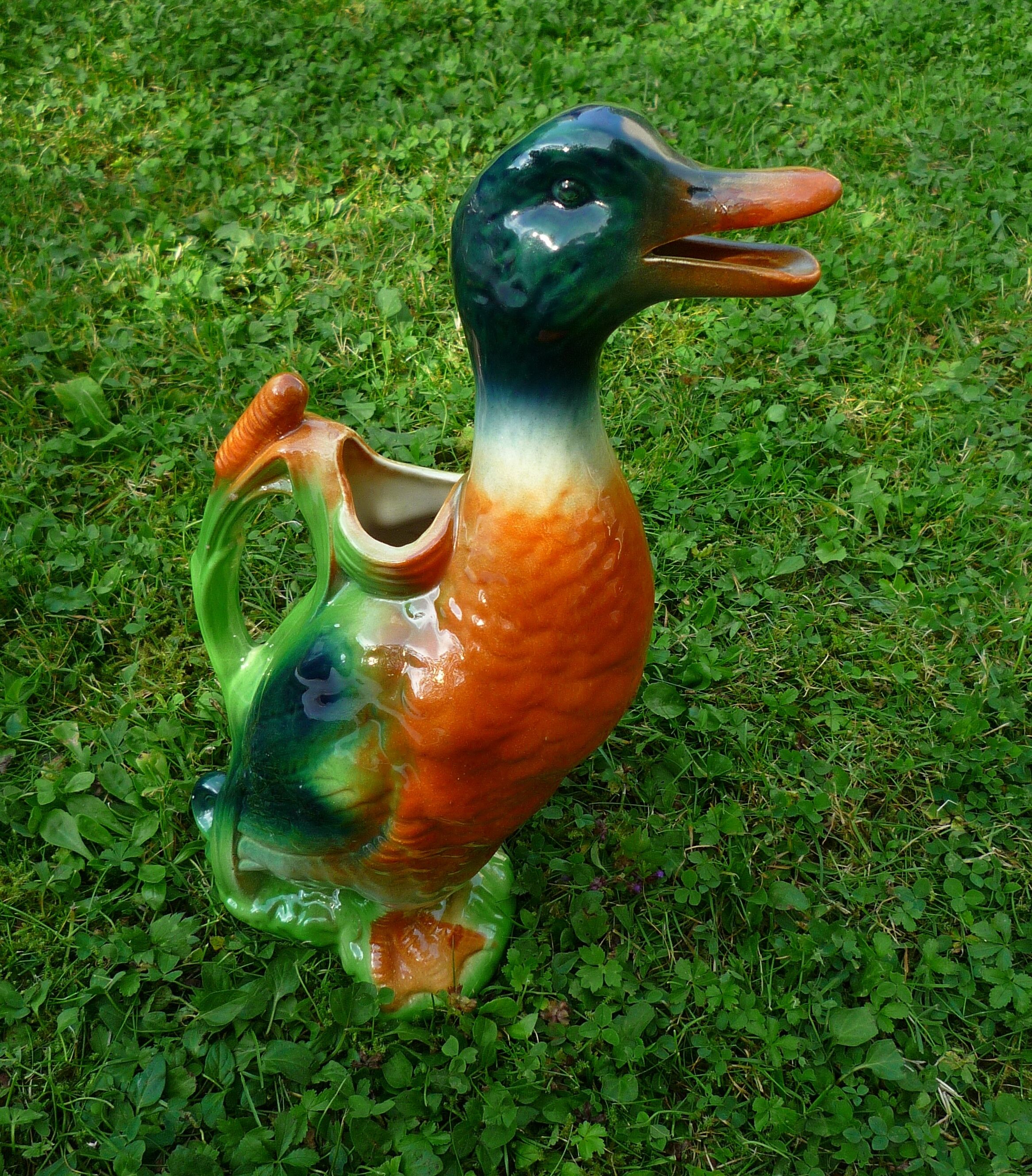 Pitcher duck slurry Saint-Clément