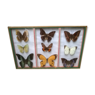 Butterfly frame