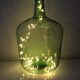 Viresa demijohn 10l