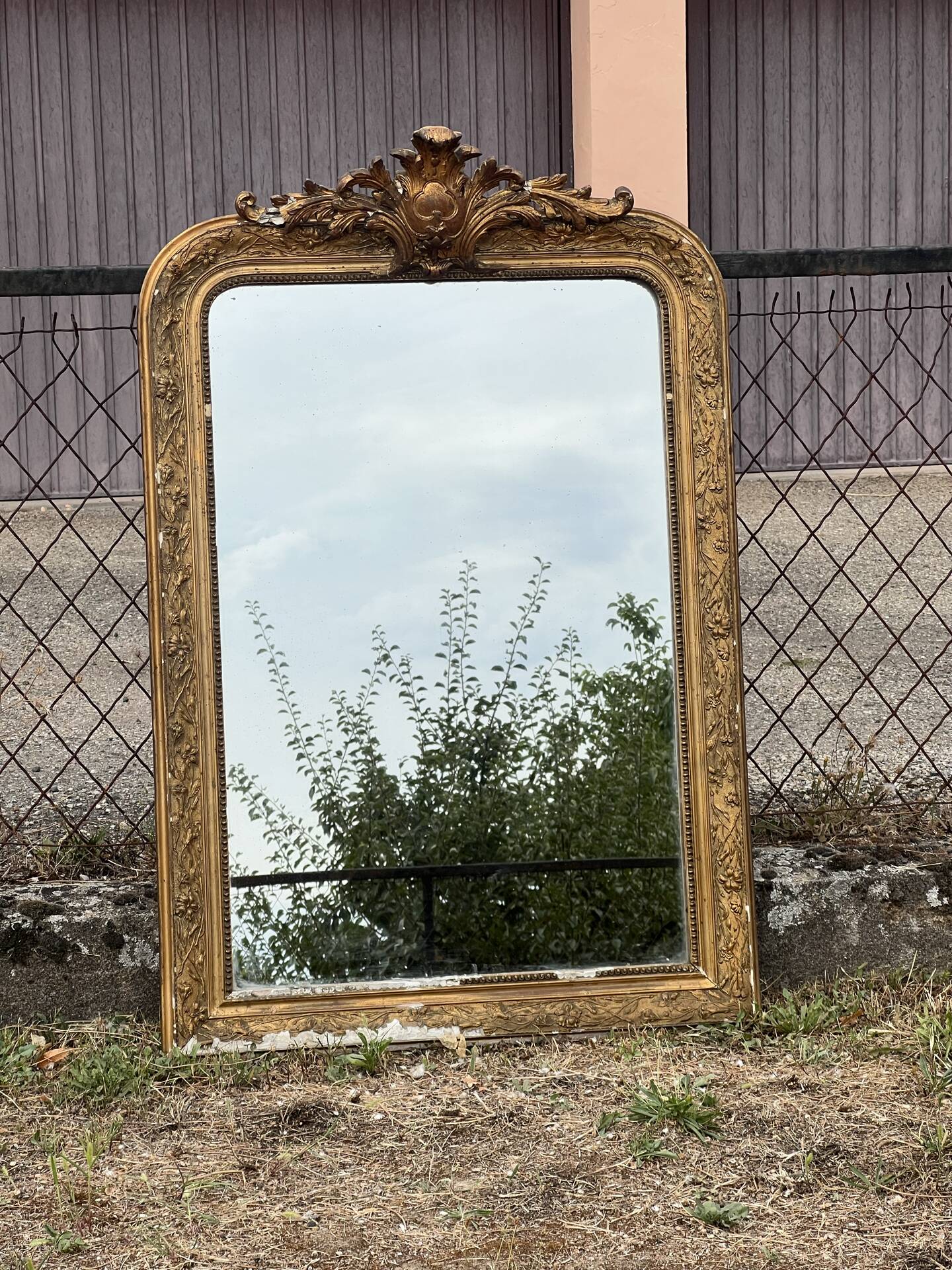 Louis-Philippe gold leaf mirror - sculpted pediment, mercury 117x76cm