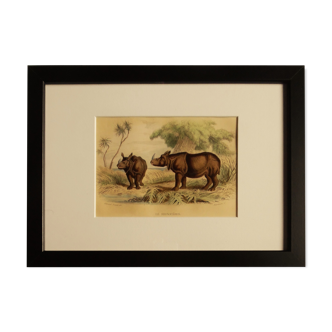 Zoological board "rhinoceros"