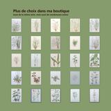 2 vintage botanical plates from 1978 - Orach hastée. Wild plant lot