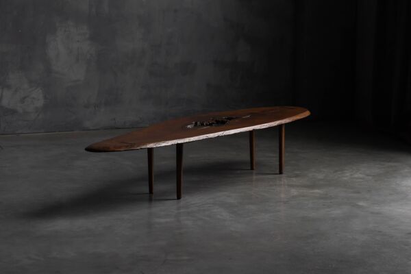Table basse moderne organique avec vide naturel, France, milieu du 20e siècle
