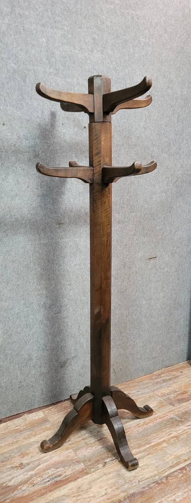 French design parrot coat rack in solid wood from the 1950s.