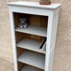 Vintage Parisian bookcase