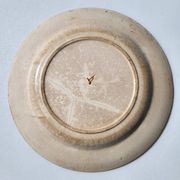 Plate Earth & Sea Seagulls & Seashells