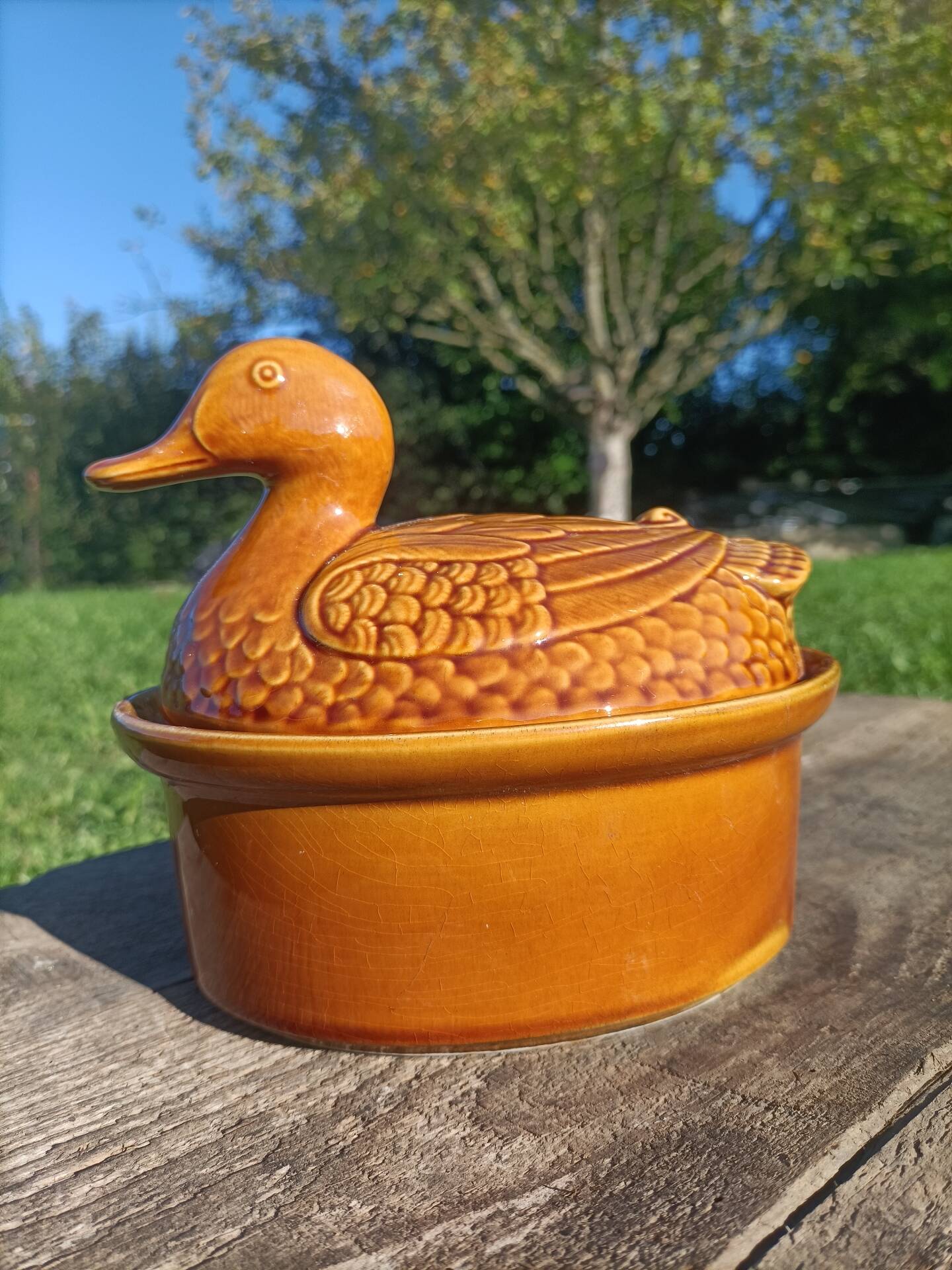 Zoomorphic terrine stamped Sarreguemines 💐