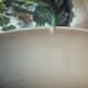 Small dish and 5 English bowls – Reproduction Rogers 1780 – Bursl