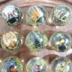 Vintage wooden carved solitaire game – Resin balls with insects –