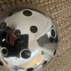 Christofle-Gio Ponti silver ball vase/flower holder