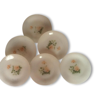 Lot de 6 assiettes plates arcopal décor roses