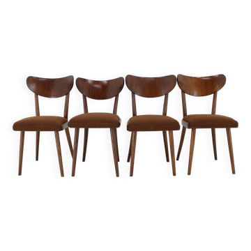 1950s Dining Beech Chairs in Boucle, Czechoslovakia