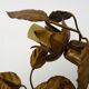 Pair of 3-light gold leaf and flower wall lights, Italy, 1970s-80s