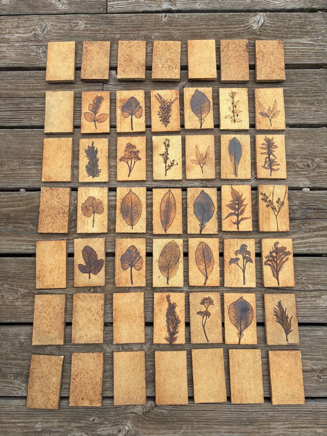 Set of 52 Vallauris herbarium tiles signed Capron