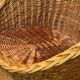 Vintage rattan armchair from the 60s/70s design