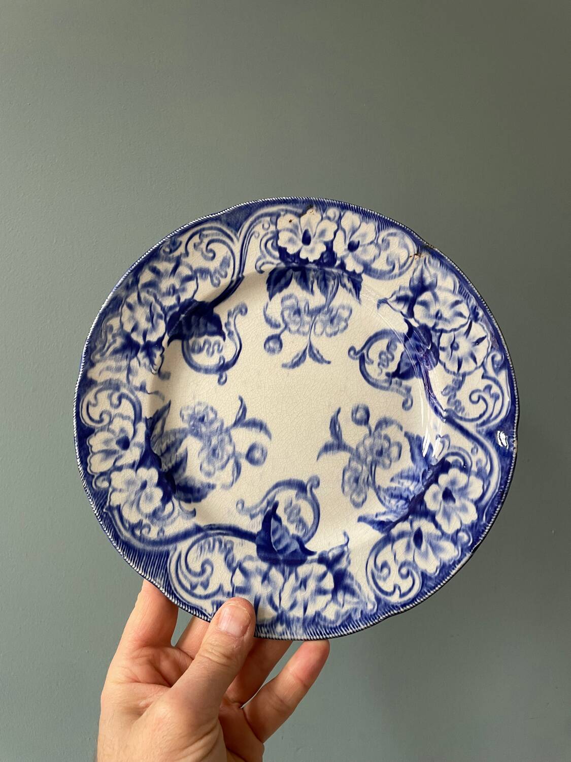 Series of 9 Creil Montereau plates, Flora model