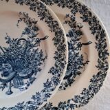 Duo of ironstone plates