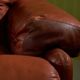 Coronado Armchair by Afra and Tobia Scarpa for B&B Italia, 1960s