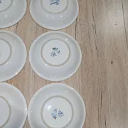 Lot 9 Deep Plates Porcelain Japan ARA S 933 Parrot & F Decor