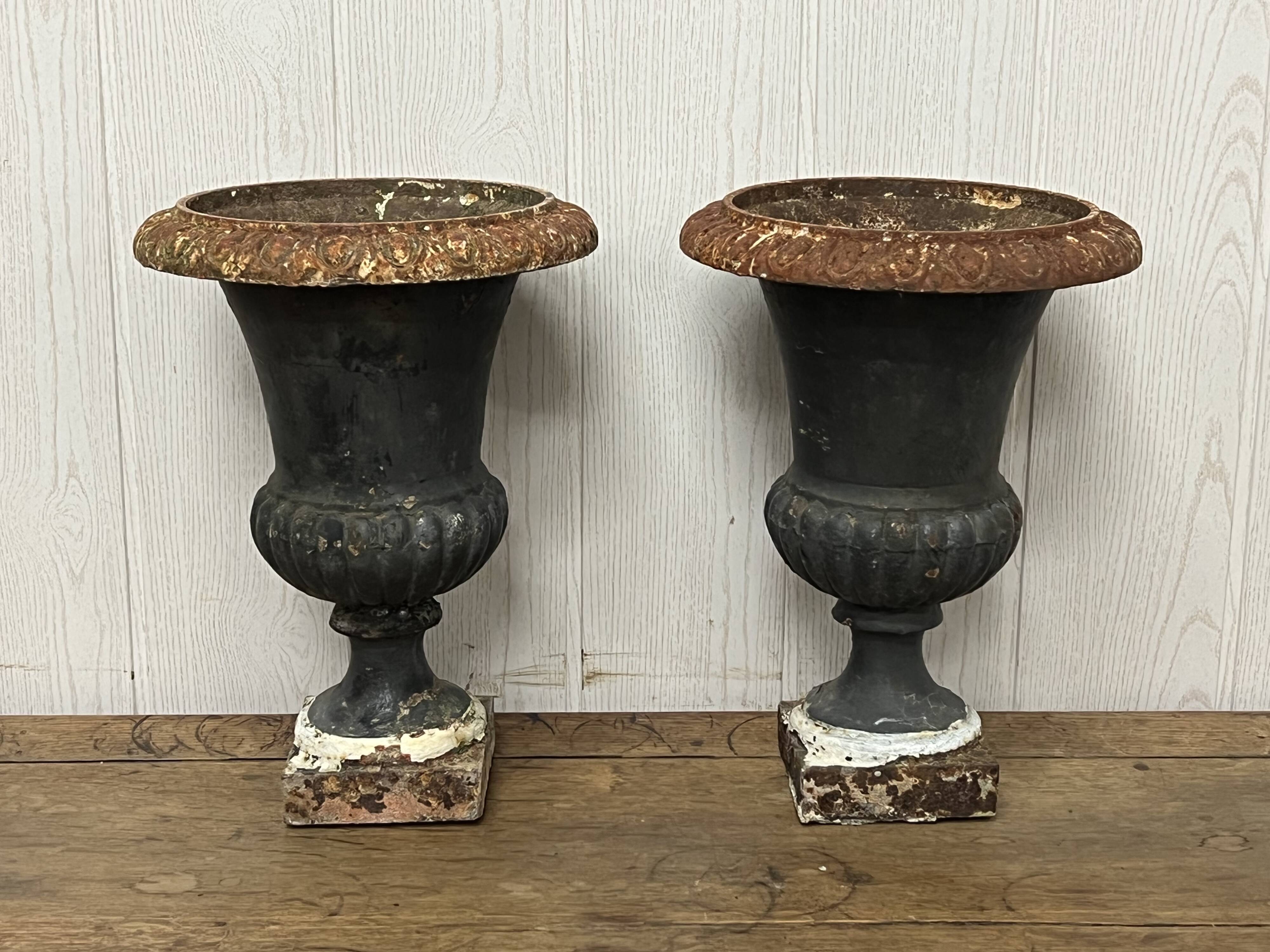 Pair of Medici vases