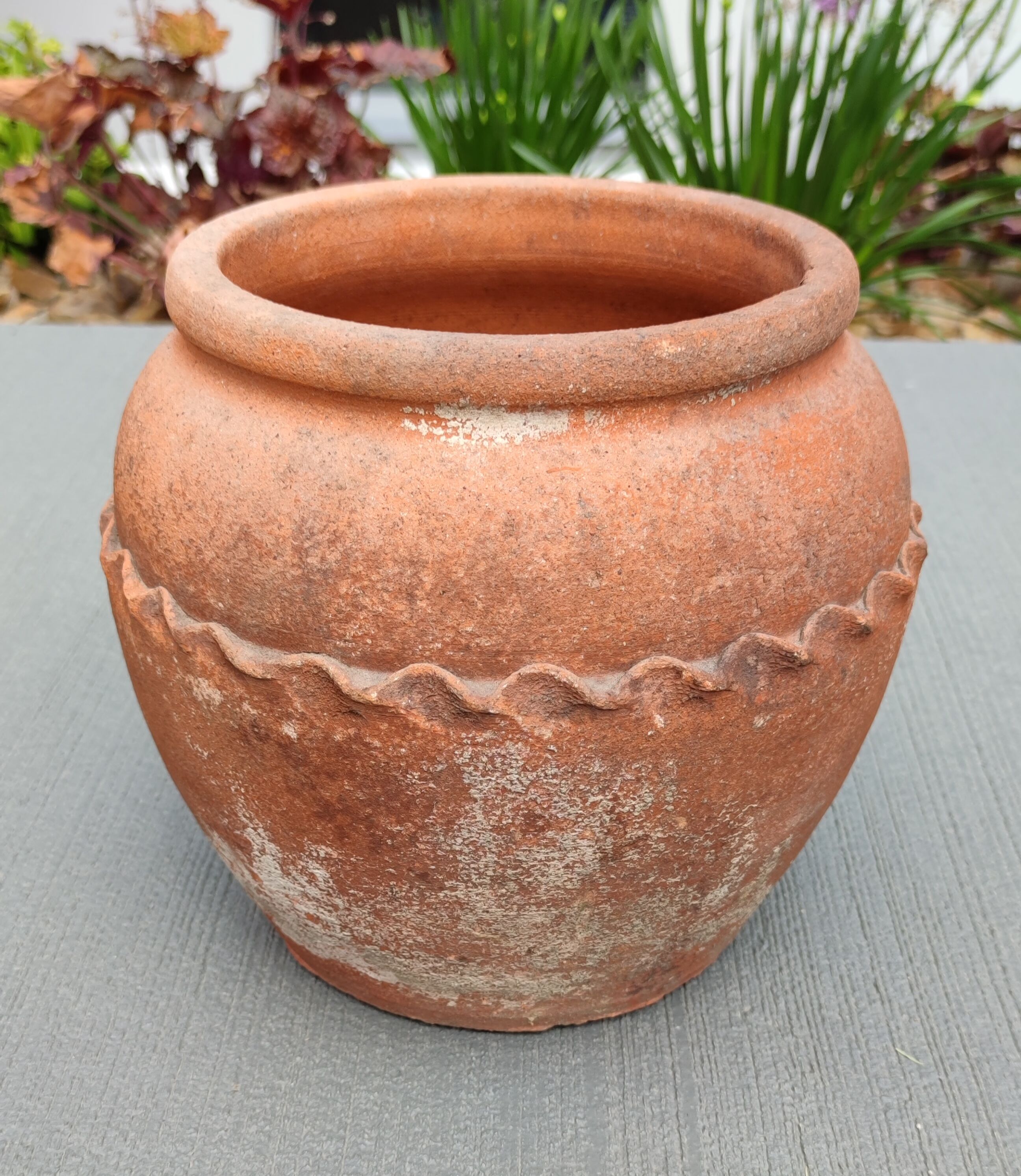 Terracotta pot