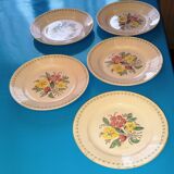 5 ironstone plates - colorful floral patterns, approx. 23cm in diameter.