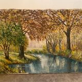 Forest landscape and its stream