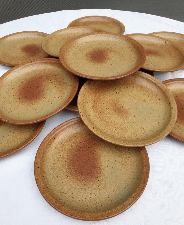 Set 12 plates and 1 dish sandstone of Burgundy Sarreguemines