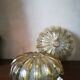 Duo of sun cailing lamps