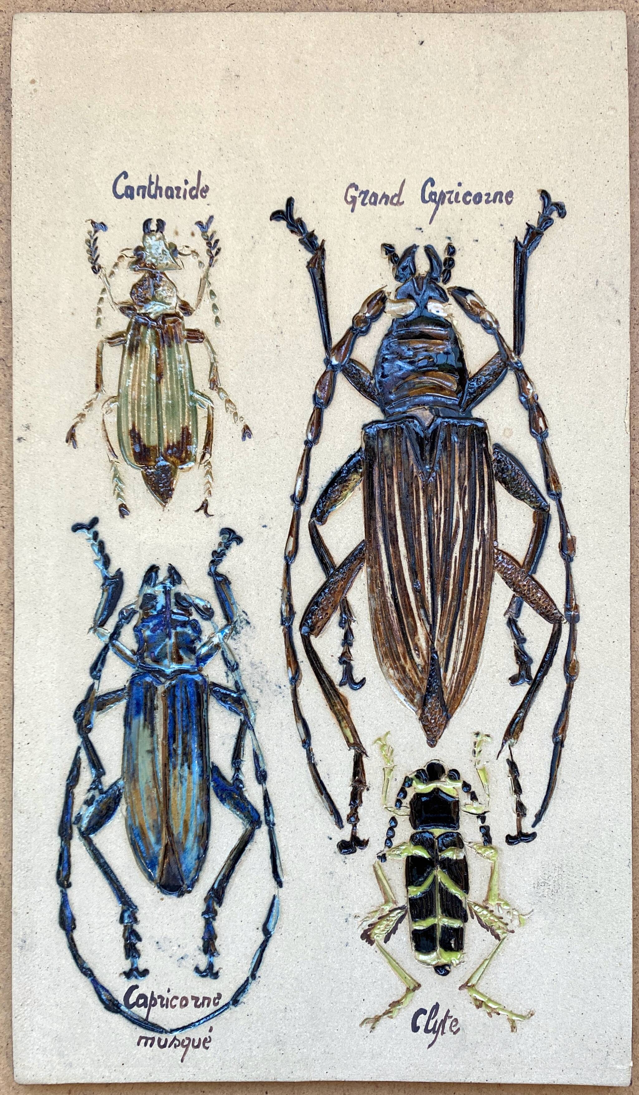 Bas relief painting / earth Beetle entomology A. Prudhomme Cabinet of curiosities