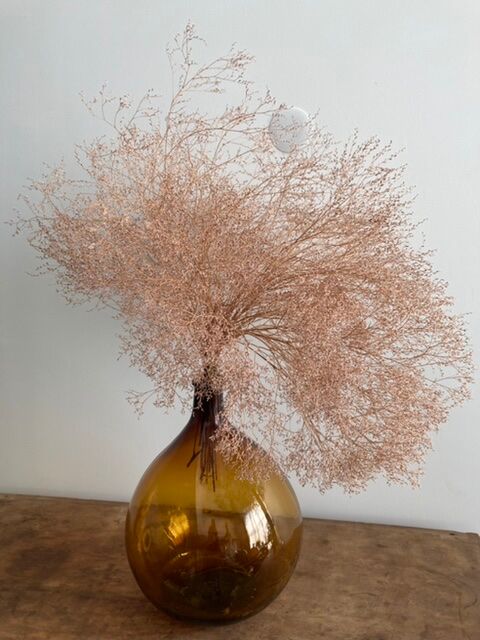 Lady-jeanne amber 10L bi-shade