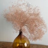 Lady-jeanne amber 10L bi-shade