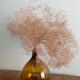 Lady-jeanne amber 10L bi-shade