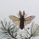 Illustration ancienne "insectes", Impression vintage années 60
