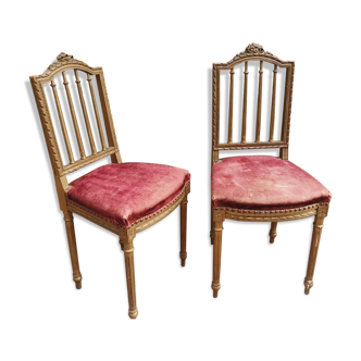 Pair of chair Louis XVl