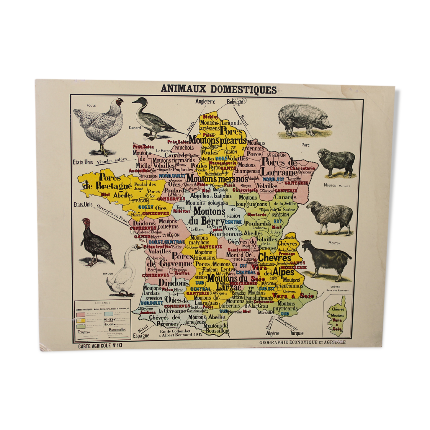 Vintage poster "Domestic animals"