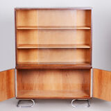 Vichr a spol art deco bookcase made in 1930s czechia