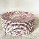 English porcelain dessert plates "the hunter" by Myott