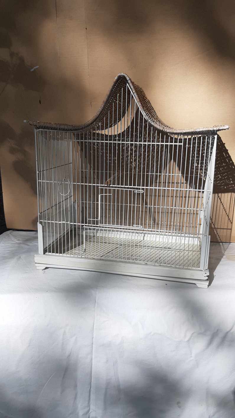 Iron and wicker bird cage