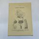 Gravure botanique papillons double face planche naturaliste Eau forte