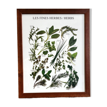 Framed botanical poster
