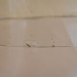 Glass globe of bride