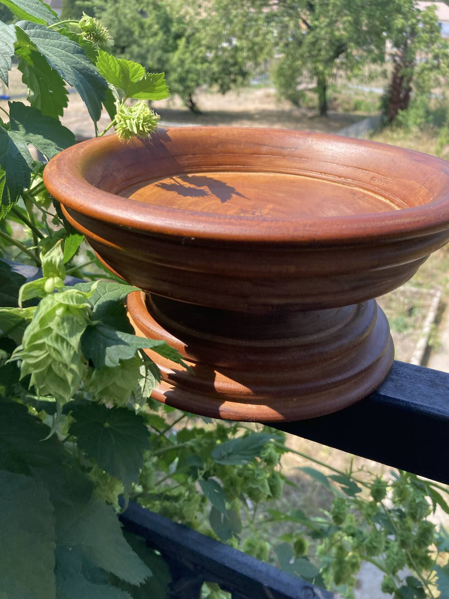Turned wooden bowl craftsmanship from Haute-Marne.