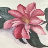 Original and signed botanical watercolor