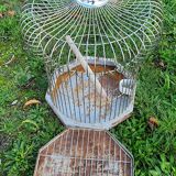 Cage a perroquet ancienne en fer